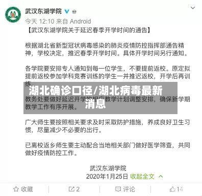 湖北确诊口径/湖北病毒最新消息-第3张图片