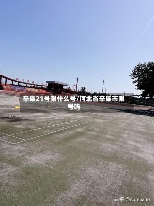 辛集21号限什么号/河北省辛集市限号吗
