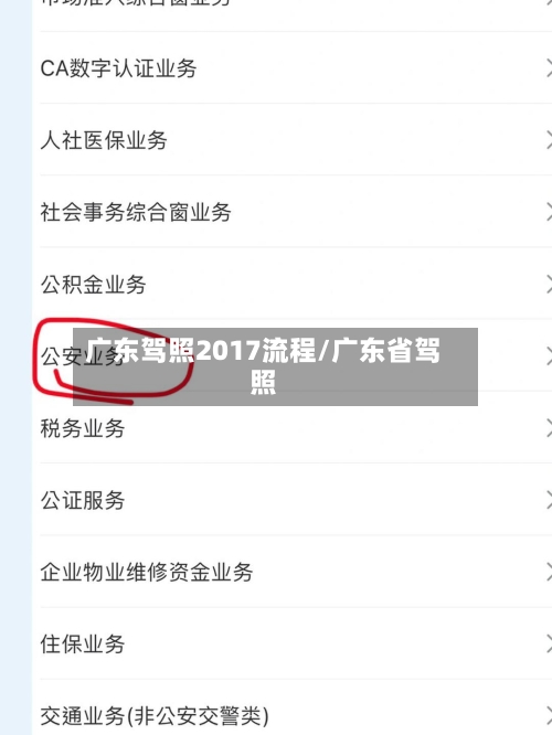广东驾照2017流程/广东省驾照