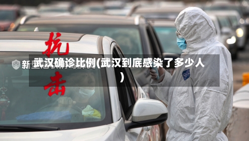 武汉确诊比例(武汉到底感染了多少人)
