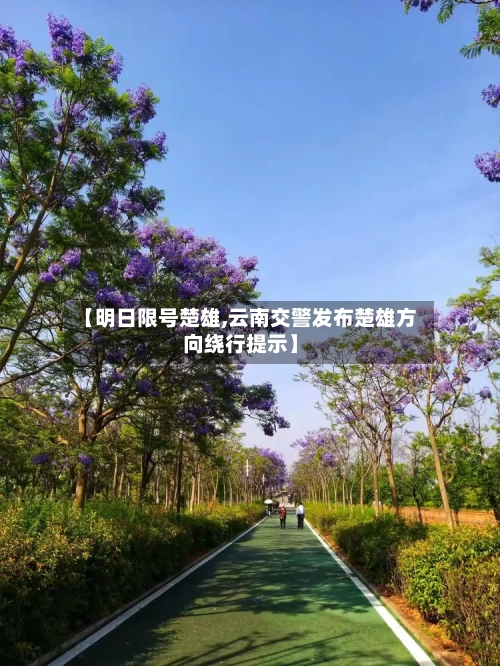 【明日限号楚雄,云南交警发布楚雄方向绕行提示】-第2张图片