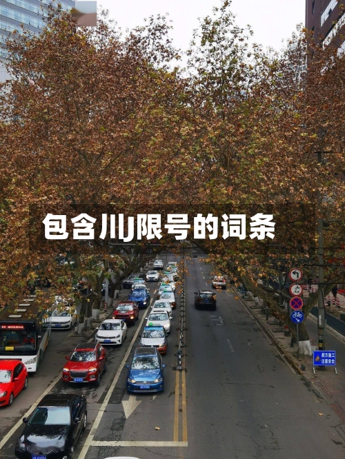 包含川J限号的词条-第2张图片
