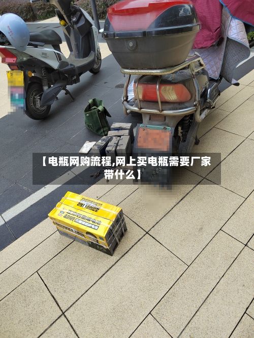 【电瓶网购流程,网上买电瓶需要厂家带什么】-第2张图片