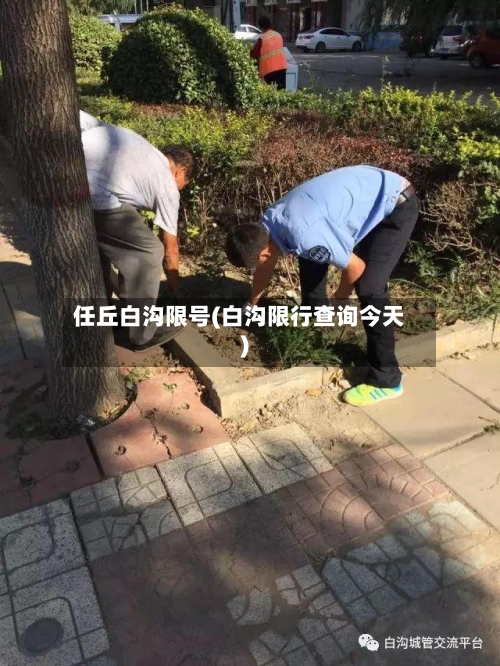 任丘白沟限号(白沟限行查询今天)-第2张图片