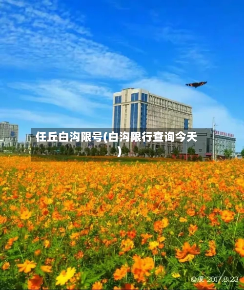 任丘白沟限号(白沟限行查询今天)
