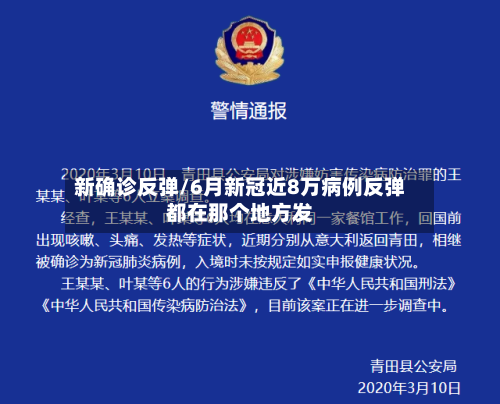 新确诊反弹/6月新冠近8万病例反弹都在那个地方发-第2张图片