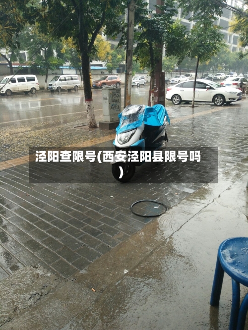 泾阳查限号(西安泾阳县限号吗)-第2张图片