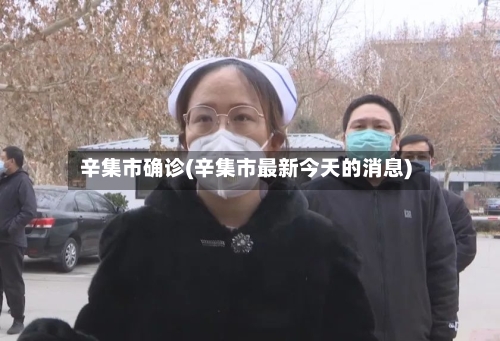 辛集市确诊(辛集市最新今天的消息)-第3张图片