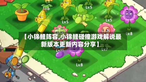 【小锦鲤阵容,小锦鲤碰撞游戏解说最新版本更新内容分享】