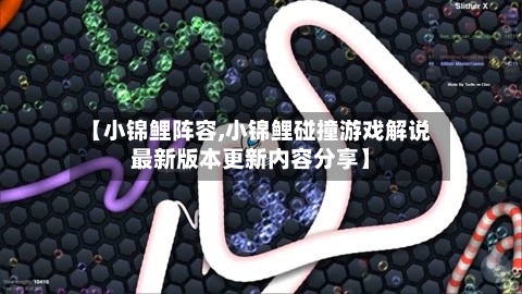 【小锦鲤阵容,小锦鲤碰撞游戏解说最新版本更新内容分享】-第2张图片