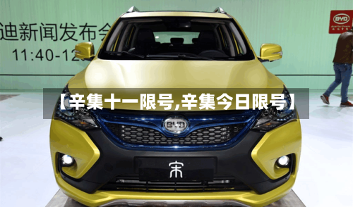 【辛集十一限号,辛集今日限号】-第2张图片