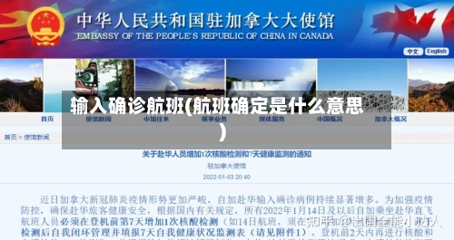 输入确诊航班(航班确定是什么意思)-第2张图片
