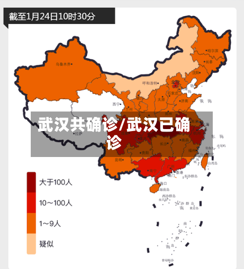 武汉共确诊/武汉已确诊-第2张图片
