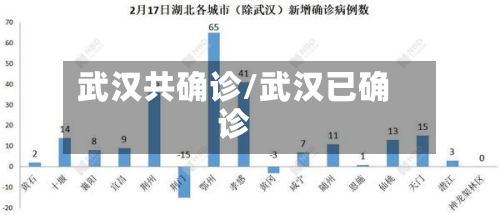 武汉共确诊/武汉已确诊-第3张图片