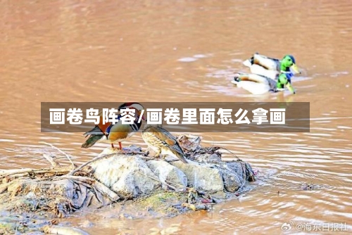 画卷鸟阵容/画卷里面怎么拿画