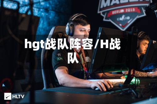 hgt战队阵容/H战队