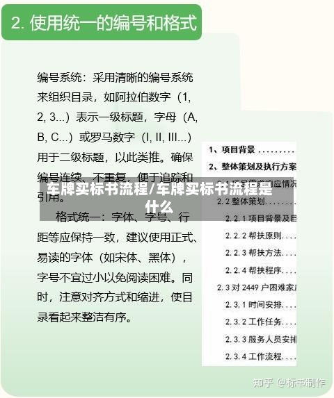 车牌买标书流程/车牌买标书流程是什么