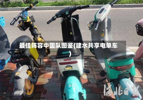 最佳阵容中国队图鉴(建水共享电单车)
