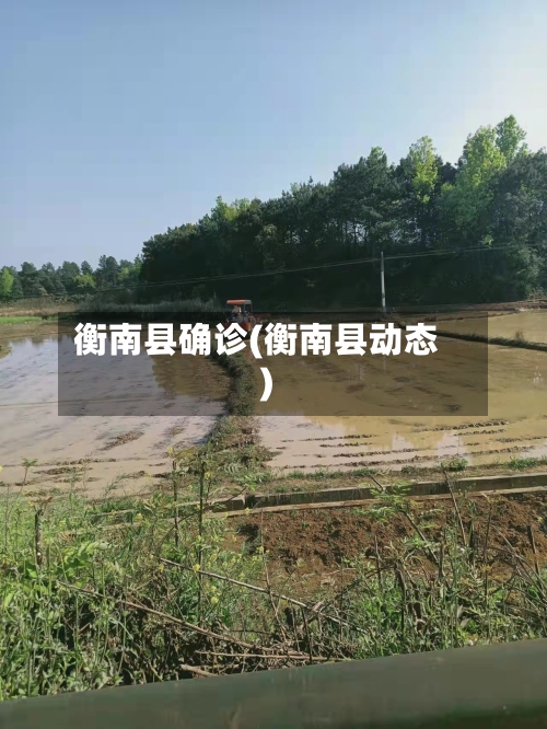 衡南县确诊(衡南县动态)-第2张图片