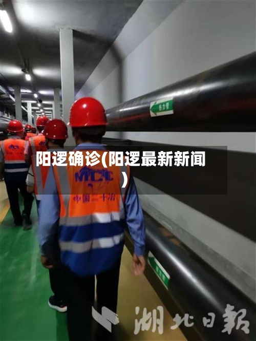 阳逻确诊(阳逻最新新闻)