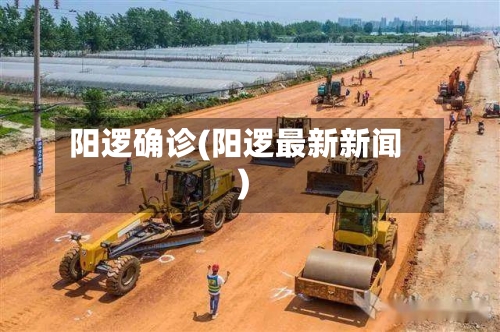 阳逻确诊(阳逻最新新闻)-第2张图片