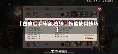 【白狼后手阵容,白狼二技能使用技巧】-第2张图片