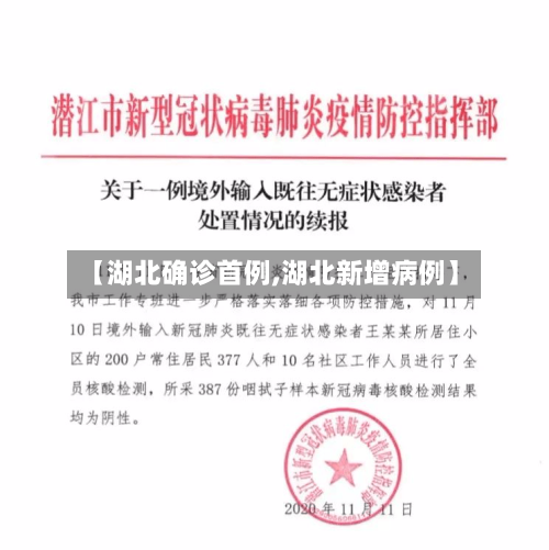 【湖北确诊首例,湖北新增病例】-第3张图片