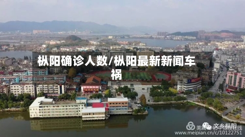 枞阳确诊人数/枞阳最新新闻车祸-第3张图片