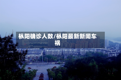 枞阳确诊人数/枞阳最新新闻车祸