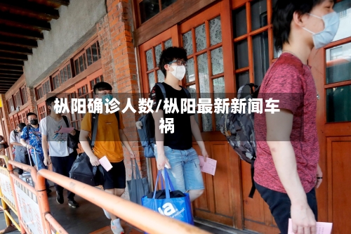 枞阳确诊人数/枞阳最新新闻车祸-第2张图片