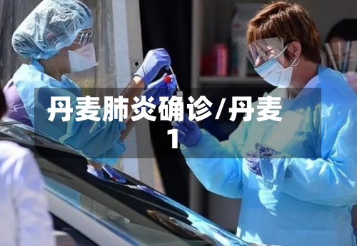 丹麦肺炎确诊/丹麦1