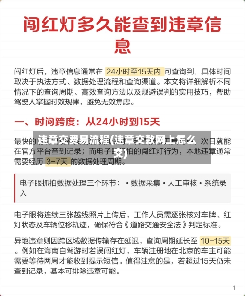 违章交费易流程(违章交款网上怎么交)-第3张图片