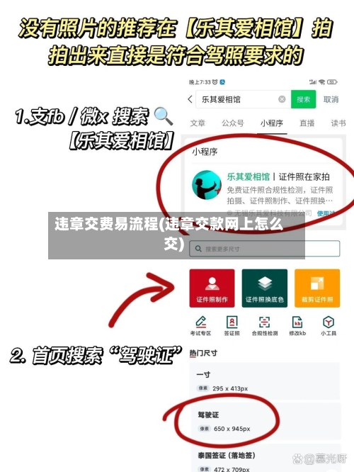 违章交费易流程(违章交款网上怎么交)-第2张图片