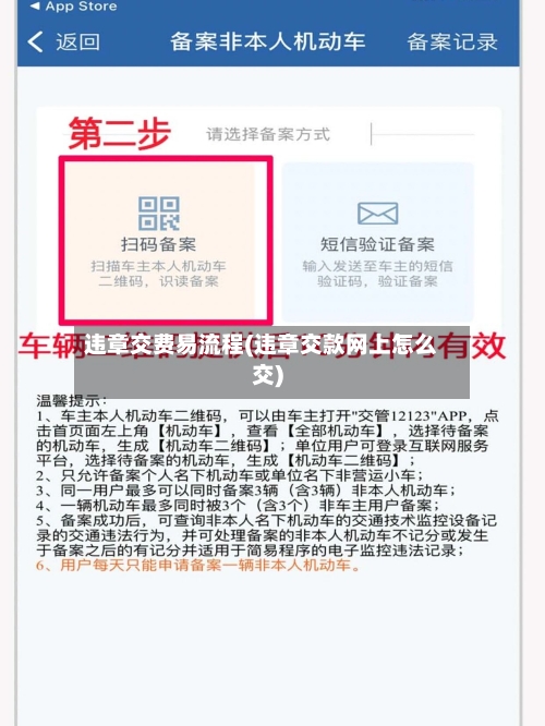 违章交费易流程(违章交款网上怎么交)