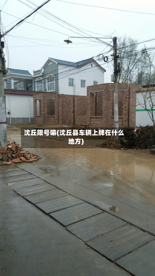 沈丘限号嘛(沈丘县车辆上牌在什么地方)