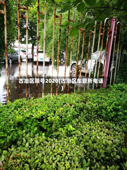 古冶区限号2020(古冶区车管所电话)