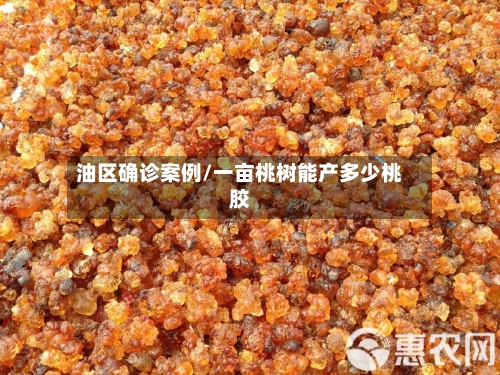 油区确诊案例/一亩桃树能产多少桃胶
