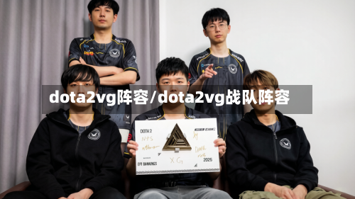 dota2vg阵容/dota2vg战队阵容