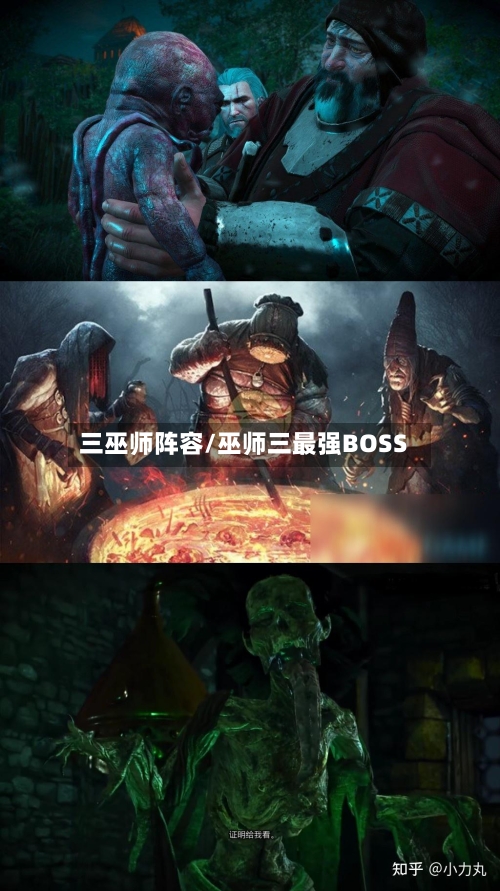 三巫师阵容/巫师三最强BOSS-第3张图片