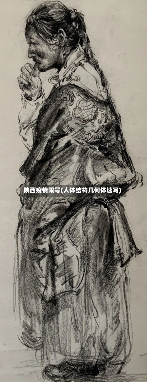 陕西疫情限号(人体结构几何体速写)