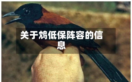 关于鸩低保阵容的信息-第2张图片