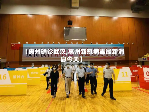 【惠州确诊武汉,惠州新冠病毒最新消息今天】-第3张图片