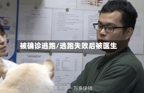 被确诊逃跑/逃跑失败后被医生