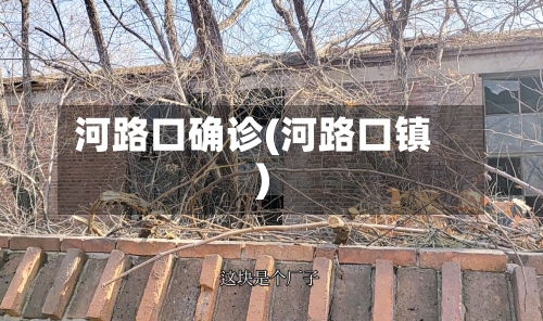 河路口确诊(河路口镇)-第3张图片