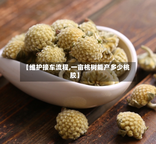 【维护接车流程,一亩桃树能产多少桃胶】