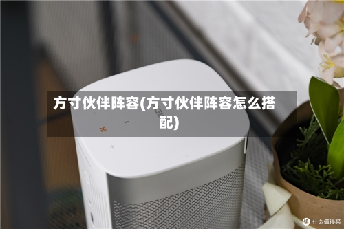 方寸伙伴阵容(方寸伙伴阵容怎么搭配)-第3张图片