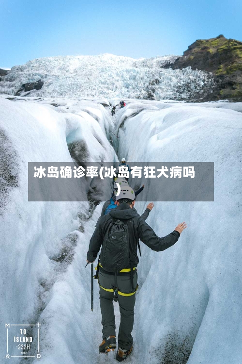 冰岛确诊率(冰岛有狂犬病吗)-第3张图片
