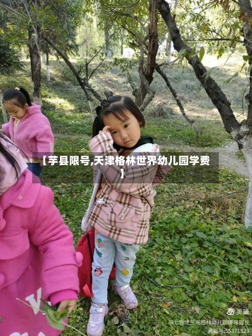 【芋县限号,天津格林世界幼儿园学费】-第2张图片