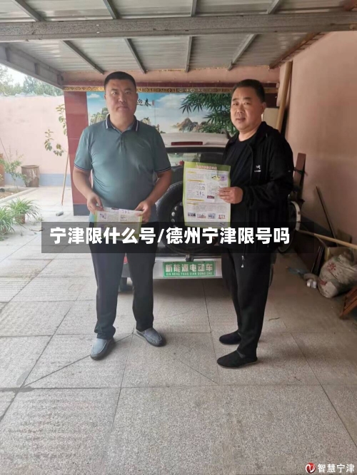宁津限什么号/德州宁津限号吗