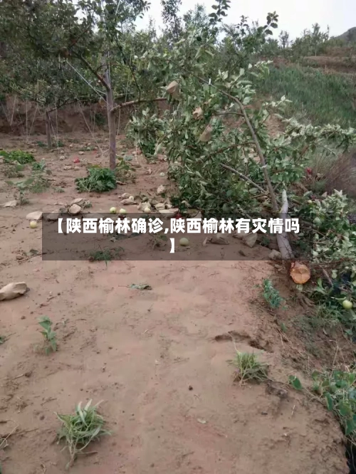 【陕西榆林确诊,陕西榆林有灾情吗】